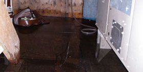 integer clean and dry